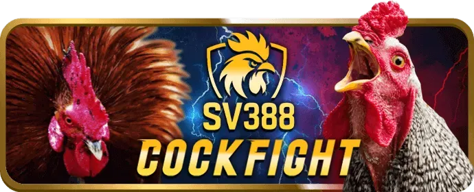 Tối ưu hóa trải nghiệm cá cược win55 bet