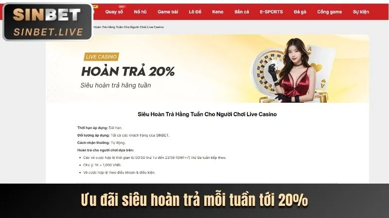 Biểu tượng hoàn tiền và đồng xu, thể hiện chính sách hoàn trả cược hấp dẫn tại Win55 Bet